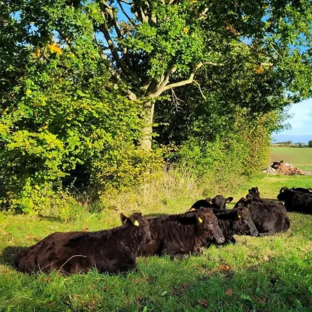 Séjour à la ferme Nordstern Steinberg (Schleswig-Holstein)