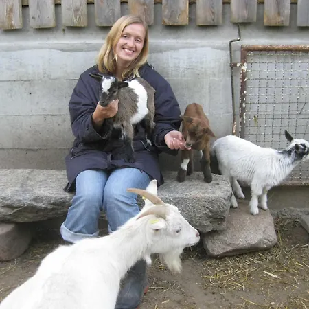 Nordstern * Steinberg (Schleswig-Holstein)